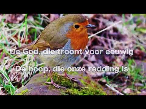 Opwekking 702 Er is kracht