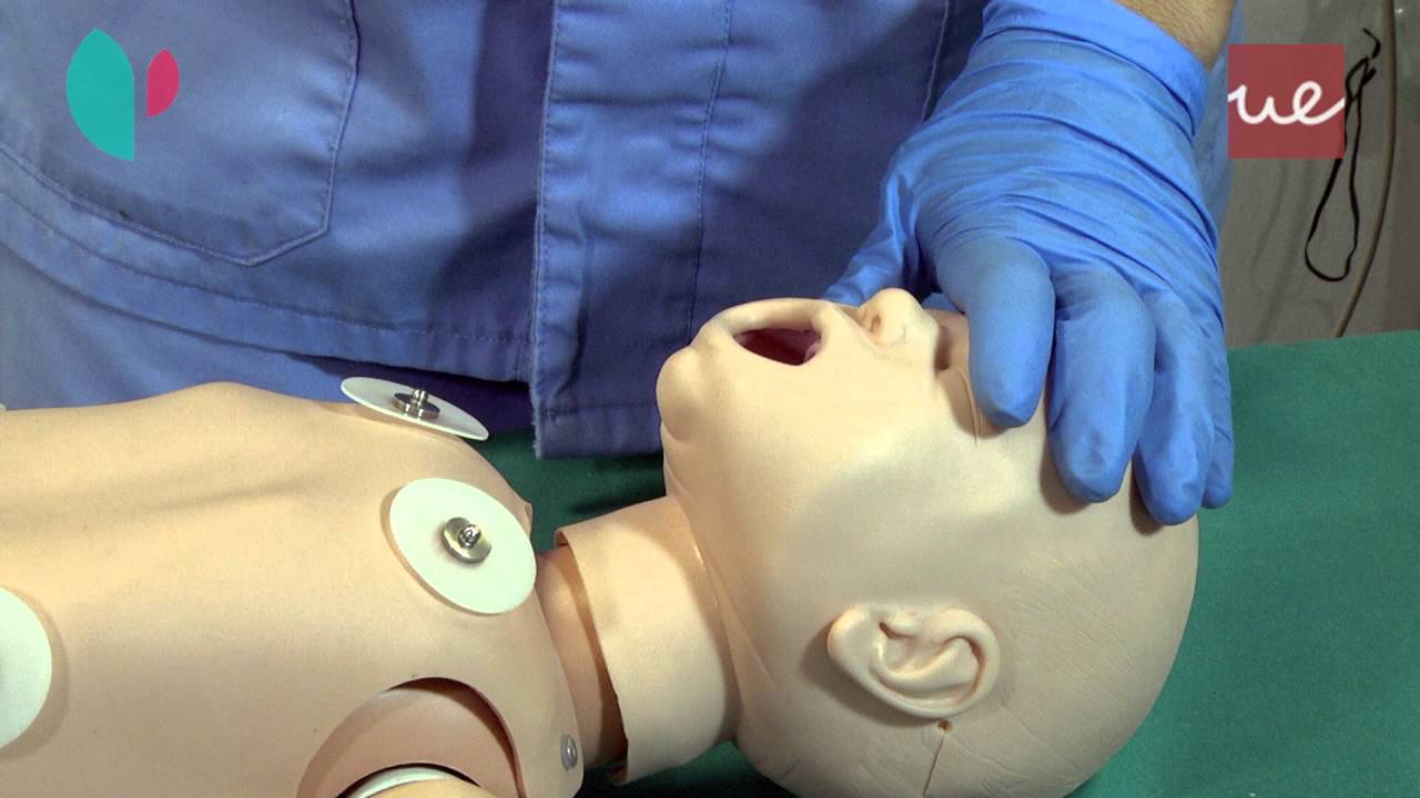 Raymundo Tecomulapa M.-22