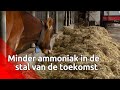 Boer Sjaak maakt zich niet druk om stikstofcrisis, 'Ik voldoe aan alle eisen'