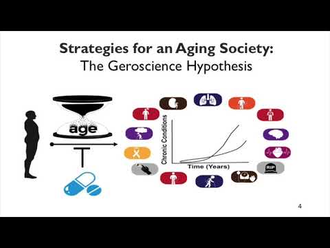 Using Metformin to Target Aging