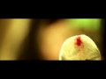 RASH - PRIMAVERA EN TUS MALETAS 