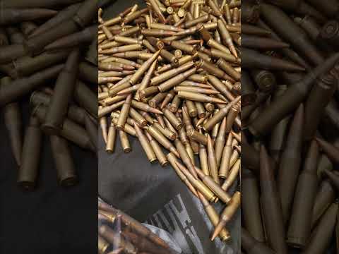 Winchester Wildcat .22 LR Rimfire Ammo Review - Has It Really Improved? My Browning Hates It!