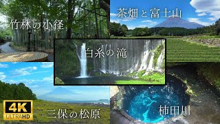 【静岡・絶景】白糸の滝／大淵笹葉の茶畑／三保の松原／竹林の小径／柿田川の清流