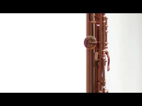 @ionbogdanstefanescu  Telemann - Sonata for two flutes VI