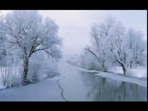 Miroslav Pap ml   Stalo diovca v garade