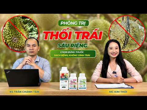 PHÒNG TRỊ THỐI TRÁI SẦU RIÊNG: CHỌN ĐÚNG THUỐC - SẠCH BỆNH, KHÔNG DÍNH TRÁI