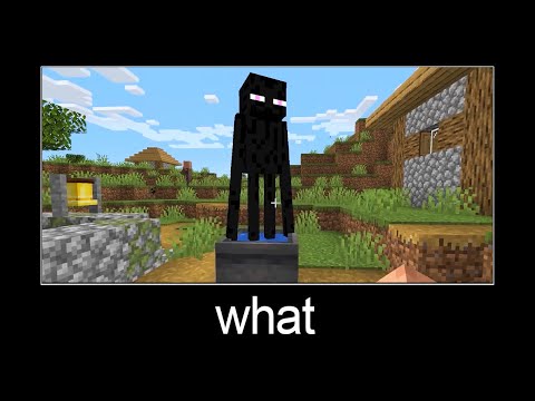 Minecraft wait what meme part 6 Enderman + water
