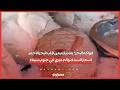 فواكه البحر" بتناديكم من قلب البحر الأحمر.. أسعار السمك والجمبري في جنوب سيناء