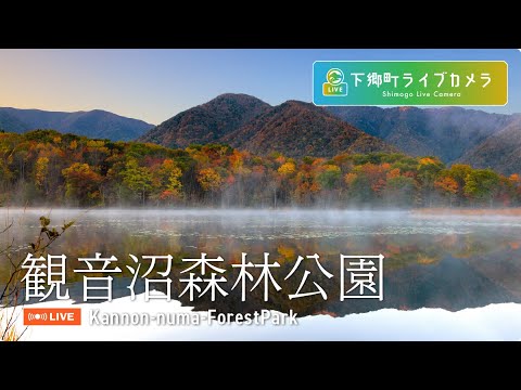 観音沼森林公園のライブカメラ映像