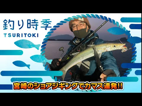 宮崎のショアジギングでカマス爆釣!（釣り時季/2022年3月13日放送）