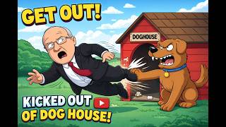My thoughts on professional dog trainers who rehome their own dog...