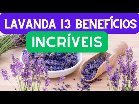 13 BENEFÍCIOS INCRÍVEIS DA LAVANDA PRA NOSSA SAÚDE