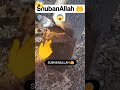 Allah Mohamadsas Quran Ali Mola Short Islamic Makkah Naat Madina Moharm Status Bibi Sakina