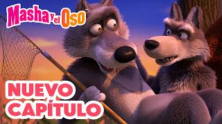 Masha and the Bear 💥 New episode 🤔➡️ Where did it go? ⭐ Collection