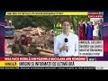 Cel Puţin şapte Furnizori IKEA Din România Au Legătură Cu Distrugerea Pădurilor Naturale