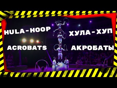 Hula-hoop act and acrobats. Хула хуп и акробаты. #circus #цирк #Cirque #馬戲團 #zirkus