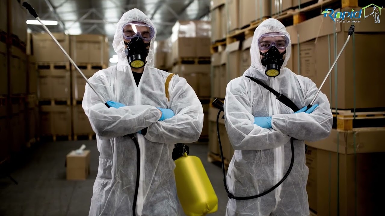 Rapid Pest Control