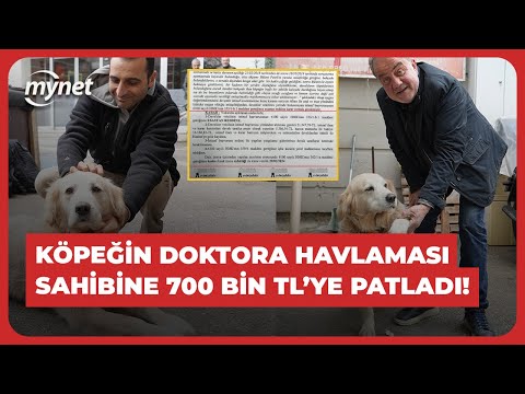 Köpeğin doktora havlaması sahibine 700 bin TL'ye patladı! "Başıma gelmeyen kalmadı"