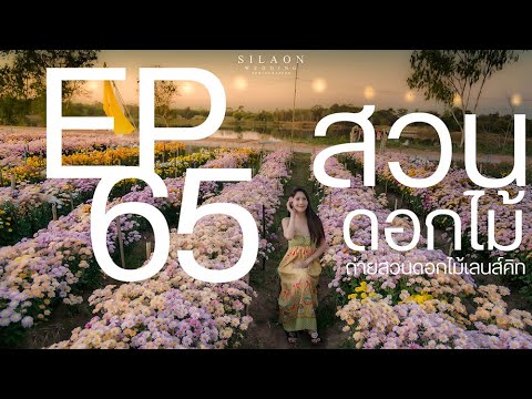 มือใหม่หัดถ่ายภาพ : EP065 : ถ่ายรูปคนในสวนดอกไม้ด้วยแสงธรรมชาติ