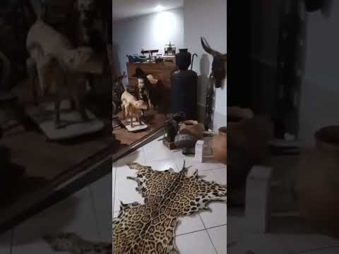 MUSEU IGREJA TRINDADE GO