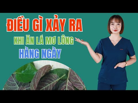 ĐIỀU GÌ XẢY RA KHI ĂN LÁ MƠ LÔNG HÀNG NGÀY | BÁC SĨ HOA