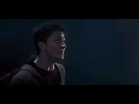 harry’s unmuted scream - my heart shattered after hearing this🥺