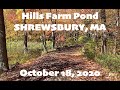 Hills Farm Pond - Shrewsbury, MA - Free Stuff To Do