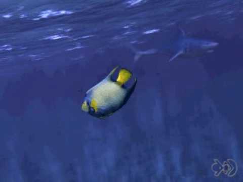 COC-BIOLOGIA- PREDATISMO-ARTHUR SIMÕES