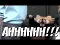 Red Panda SCREAMS IN TERROR! (Enhanced 