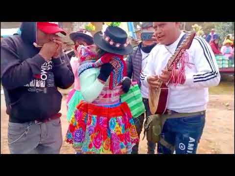 CASTILLAPATA 2025 vacilacion | purito #bandurria #huancavelica