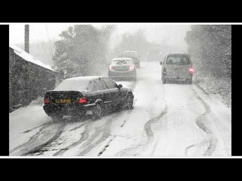 5 Reasons I Hate Winter!|Animation