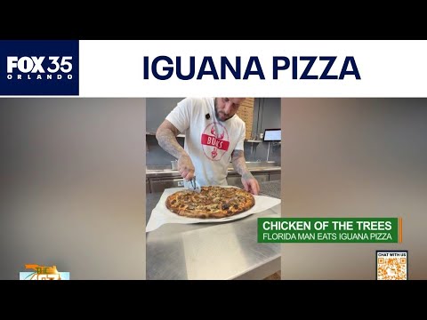Chicken of the Trees: Florida man uses iguana as a pizza topping
