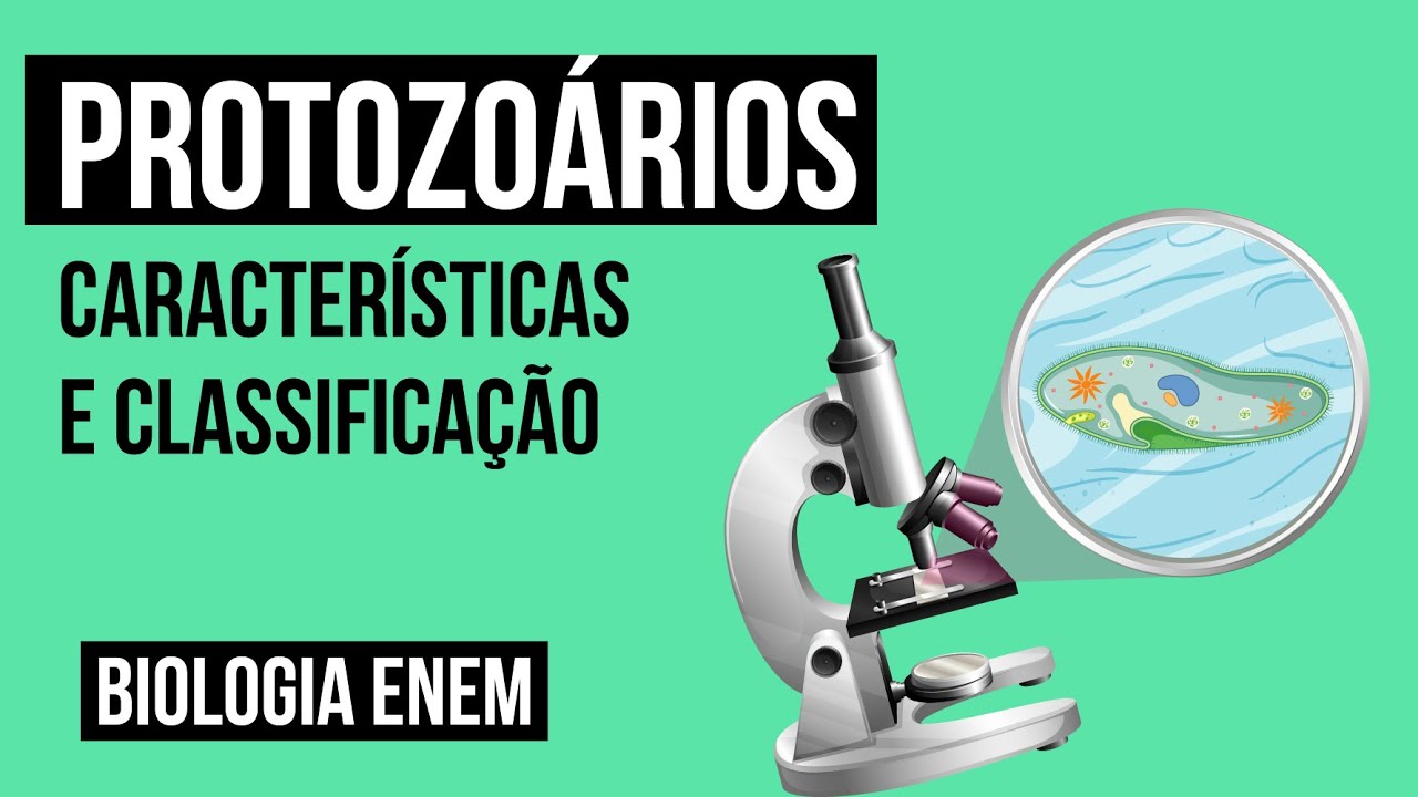 PROTOZOÁRIOS: características e classificação | Biologia para o Enem | Cláudia de Souza Aguiar