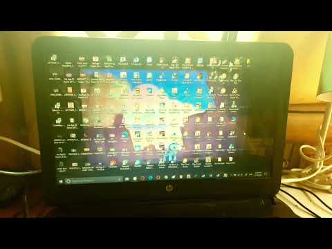 "Animal Age 3: Dawn of the Creatures" Deel 10 - Chasm of Death