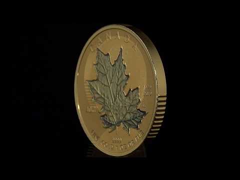 Pure Gold Fractional Set - 40th Anniversary of the Gold Maple Leaf