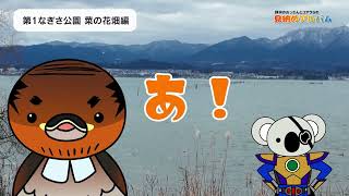 2026/3/3放送・知ったかぶりカイツブリにゅーす