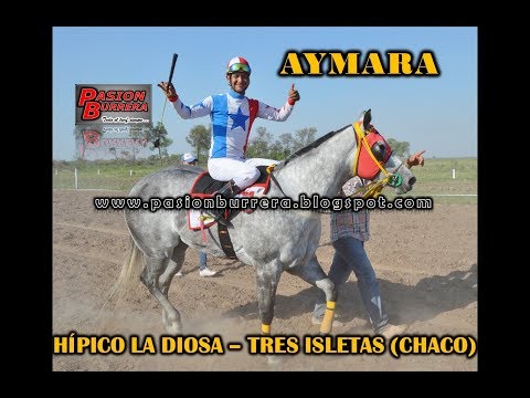 Aymara, Tres Isletas (23-09-18)