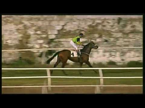 Galoppo 25/01/2020 - 5ª corsa