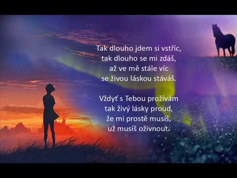 Hana Zagorová / Už dlouho se mi zdáš