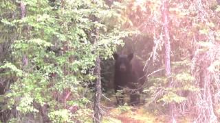 Jeb Rand by Bedouin Soundclash