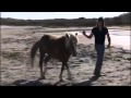 Просто нет слов! 