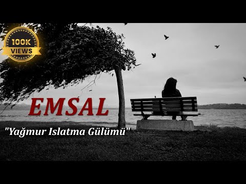 Emsal -  Rain Wetting Rose