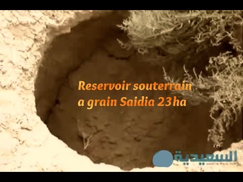 Réservoirs souterrains à grain Matmoura Saidia 23 Ha