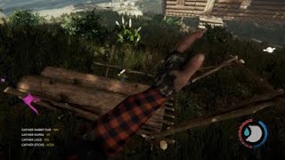 The Forest Pluto's Stick Song!