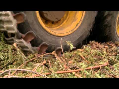 Turvemaiden puunkorjuu kesällä – UPM Metsä