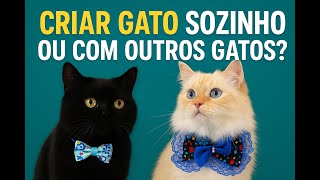 Is Having Just One Cat Cruel? The Truth That Nobody Tells You”