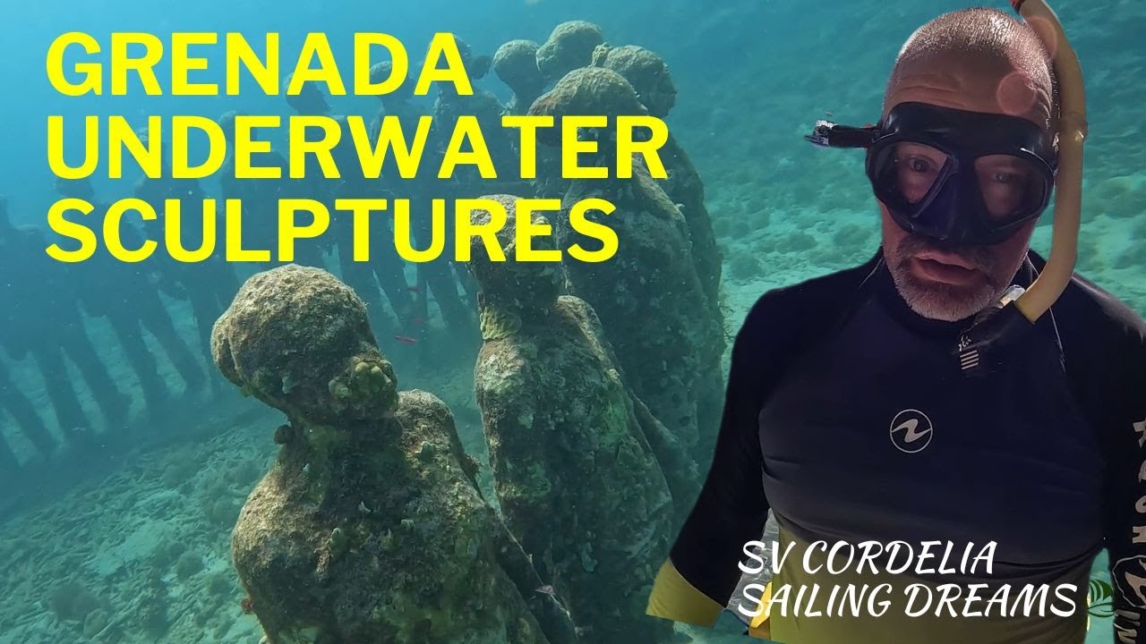 SAILING with a COCKROACH ? and EERIE UNDERWATER LIFE