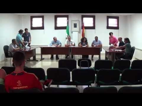 Pleno Municipal - La Malahá - Junio 2015