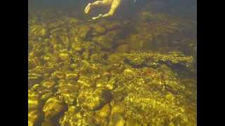 preview picture of video 'River Snorkelling in Bains Kloof South Africa'
