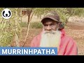 Bonaventure speaking Murrinhpatha | Aboriginal Australians and Torres Strait Islanders | Wikitongues